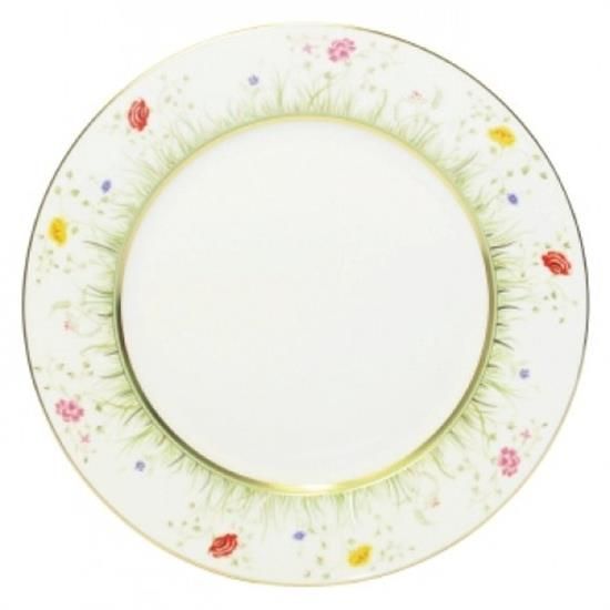 Picture of New Dinner Plate