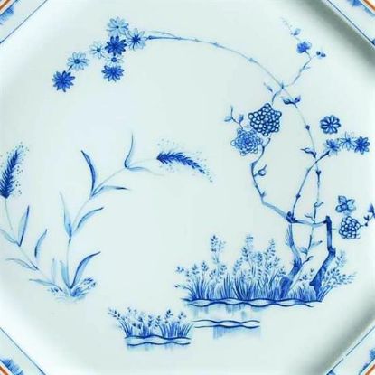 Picture of Dinner Plates