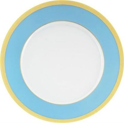 Picture of New Dinner Plate