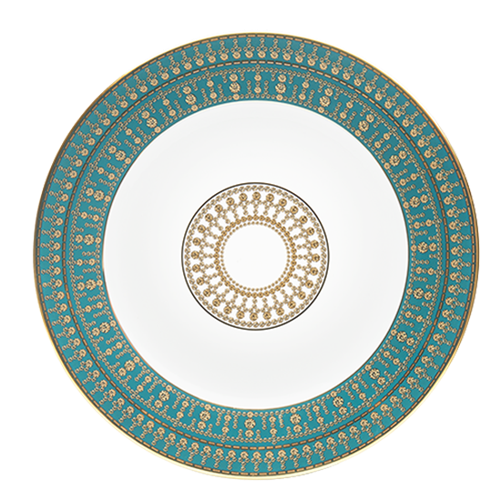 Picture of New Service Plate 12"