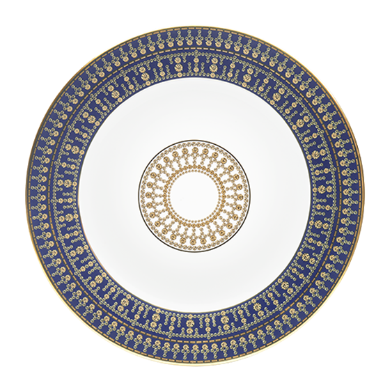 Picture of New Service Plate 12"