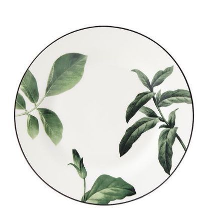 Picture of New Accent Salad Plate