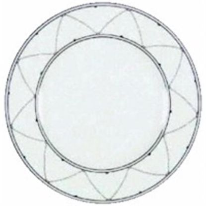 Picture of Dinner Plates