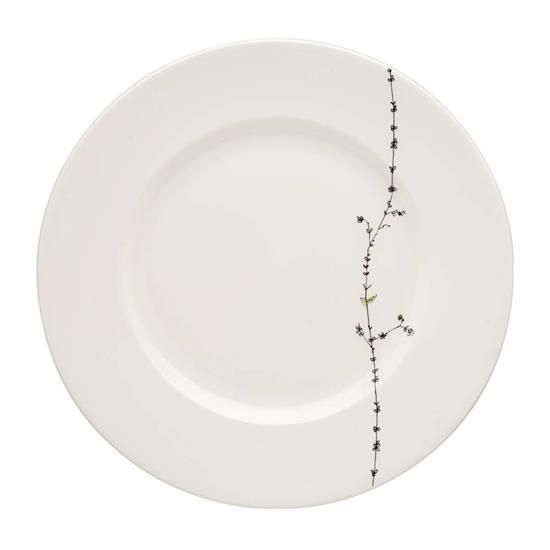 Picture of Dinner Plates