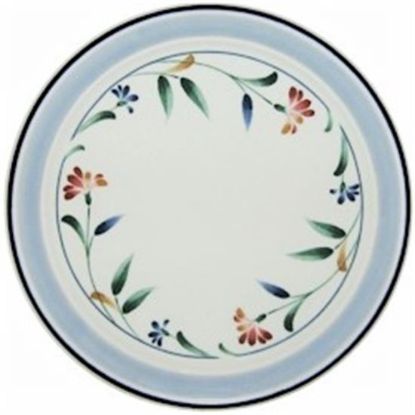 Picture of Dinner Plates