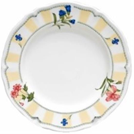 Picture of Dinner Plates