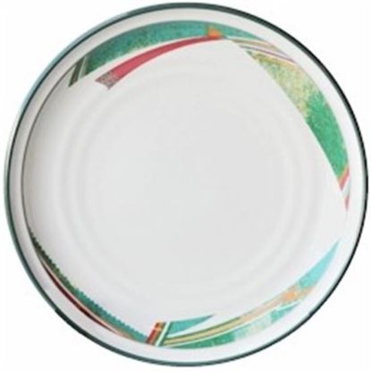 Picture of Dinner Plates
