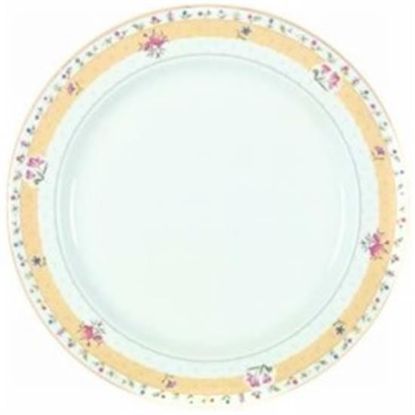 Picture of Dinner Plates