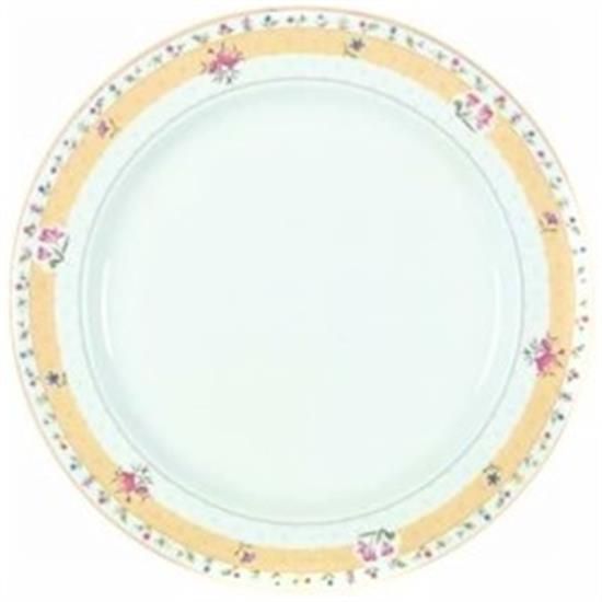 Picture of Dinner Plates