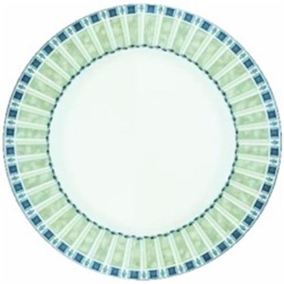 Picture of New Dinner Plate