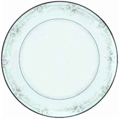 Picture of Dinner Plates