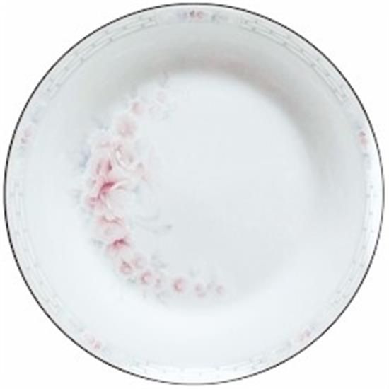 Picture of Dinner Plates