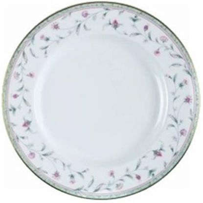 Picture of Dinner Plates