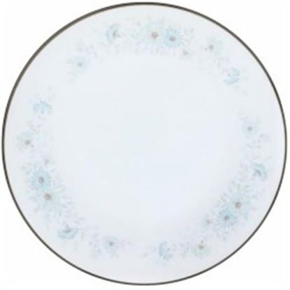 Picture of Dinner Plates