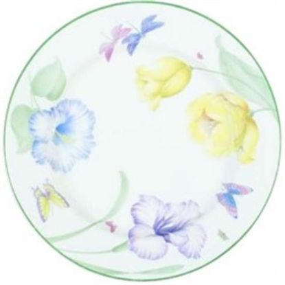 Picture of Dinner Plates