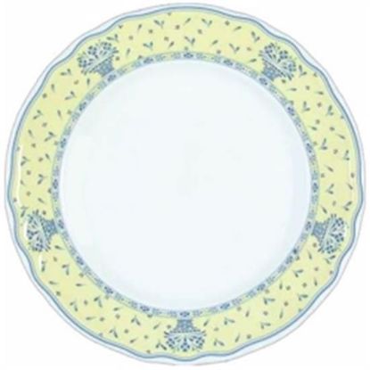 Picture of Dinner Plates