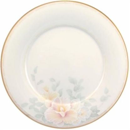 Picture of Dinner Plates