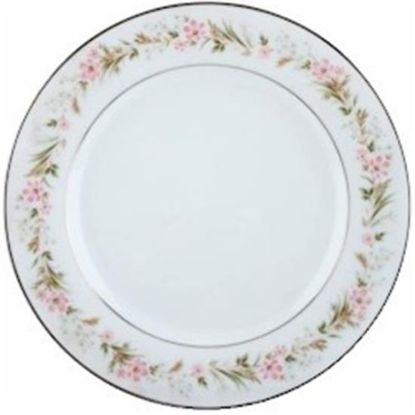 Picture of Dinner Plates
