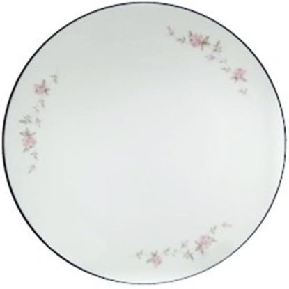 Picture of Dinner Plates