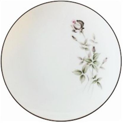 Picture of Dinner Plates