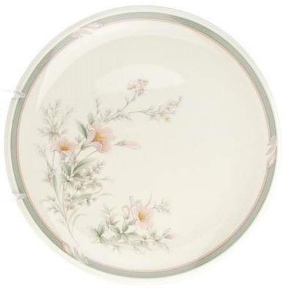 Picture of Dinner Plates