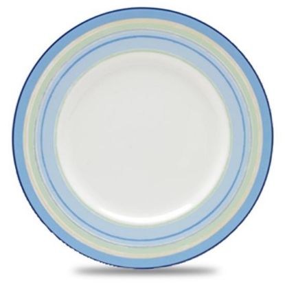 Picture of Dinner Plates