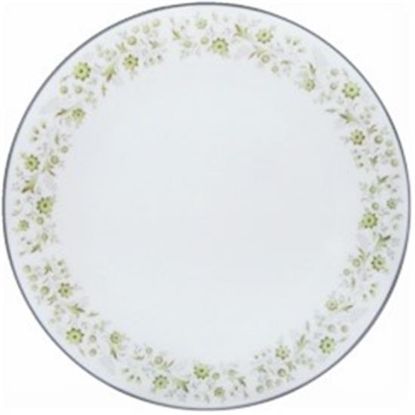 Picture of Dinner Plates