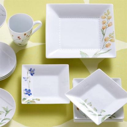 Picture of Dinner Plates