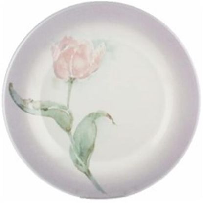 Picture of Dinner Plates