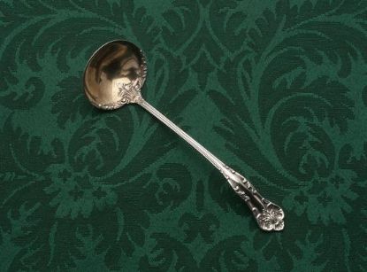 Picture of Sauce Ladle:
