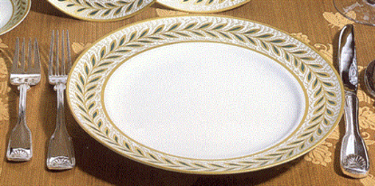 Picture of New Dinner Plate