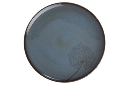 Picture of New Dinner Plate