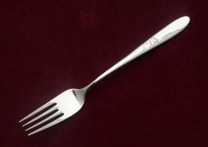 Picture of Place Forks