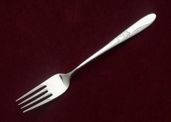 Picture of Place Forks