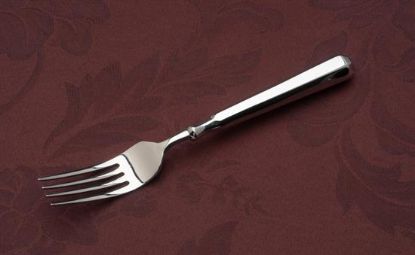 Picture of Place Forks