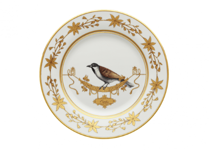 Picture of New Dinner Plate