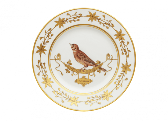 Picture of New Dinner Plate