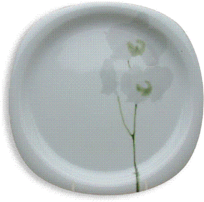 Picture of Dinner Plates
