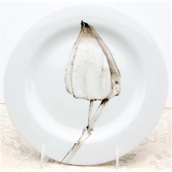 Picture of Dinner Plates