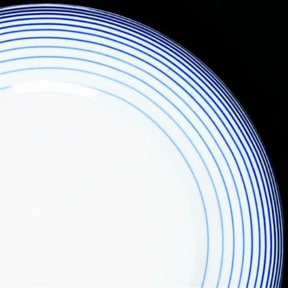 Picture of Dinner Plates