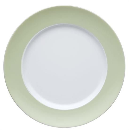 Picture of Dinner Plates