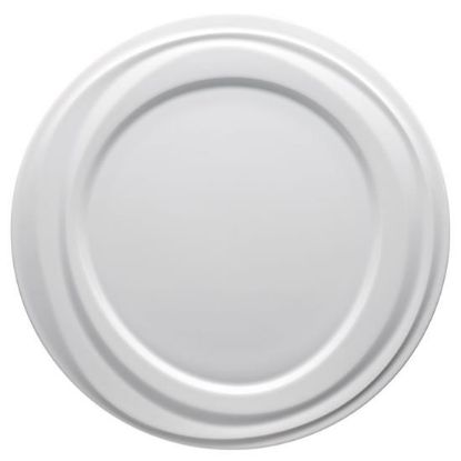 Picture of New Service Plate 12"