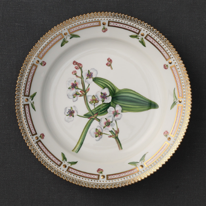 Picture of New Accent Salad Plate