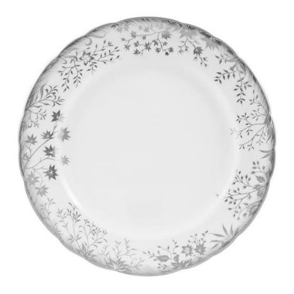 Picture of New Service Plate 12"