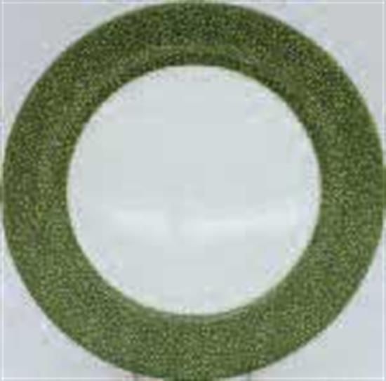 Picture of New Service Plate 12"