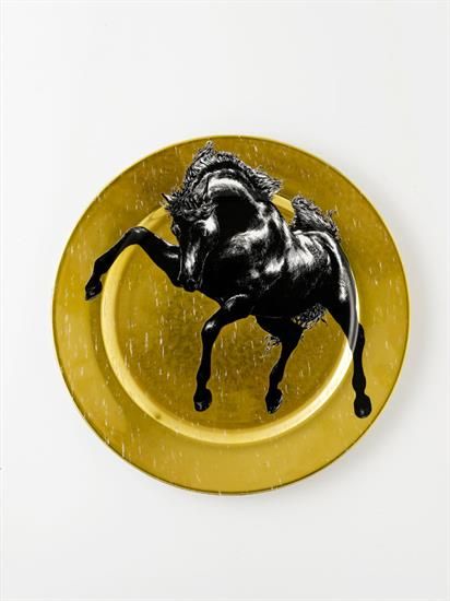 Picture of New Service Plate 12"