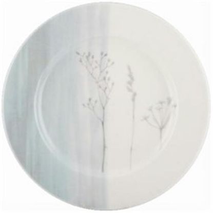 Picture of Dinner Plates