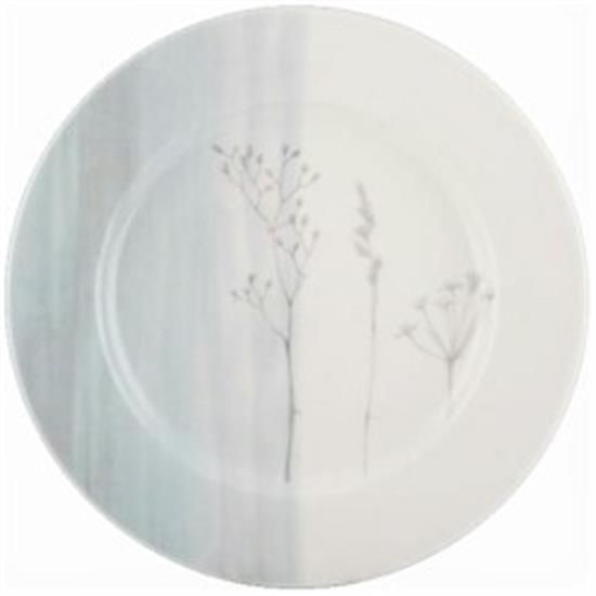 Picture of Dinner Plates