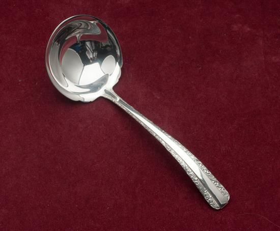 Picture of Sauce Ladle