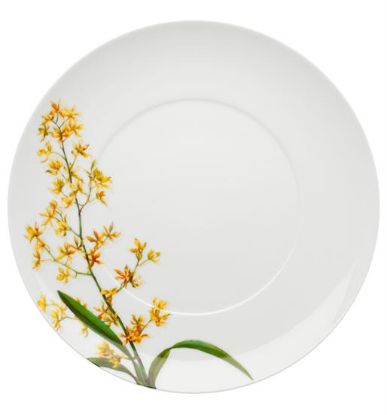 Picture of New Dinner Plate